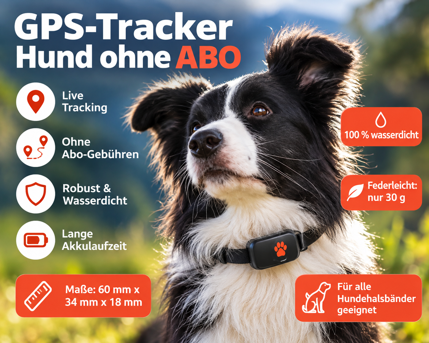PitPat GPS Tracker für Hunde ohne Abo
