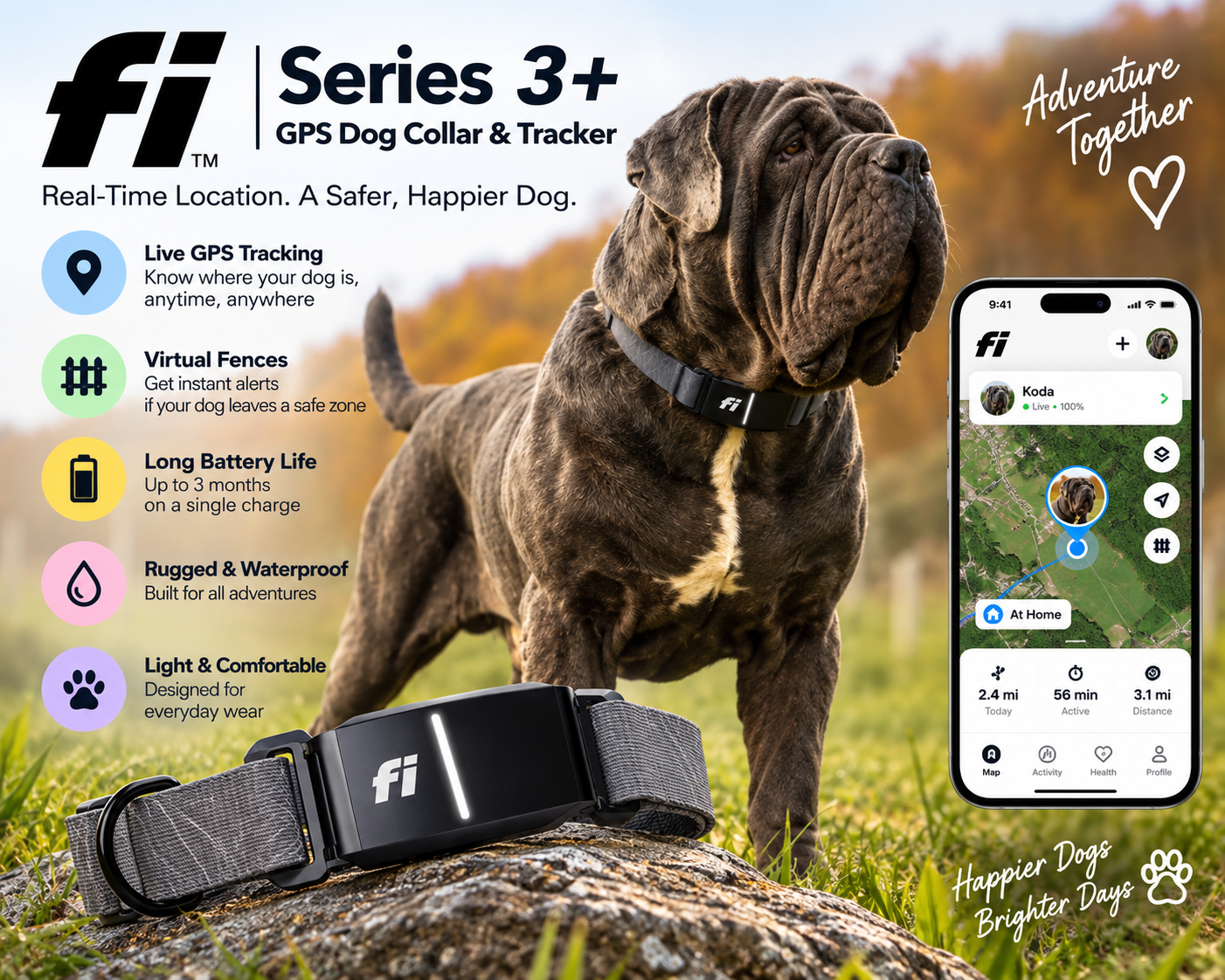 Fi Series 3 Plus GPS Dog Collar and Tracker